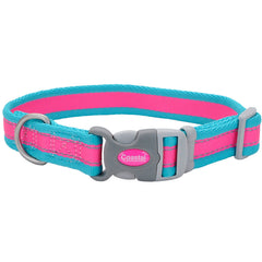 Coastal Pet - Pro - Reflective Adjustable Dog Collar, Fuscia with Teal