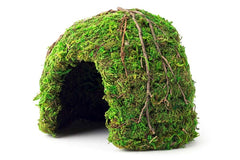 Galápagos Mossy Dome Hide, Vined