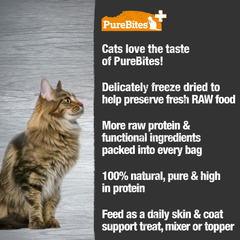 PureBites+ Freeze Dried Cat Treat | Skin & Coat | 5 Ingredients | Made in USA