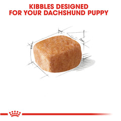 Royal Canin Dachshund Puppy Breed Specific Dry Dog Food