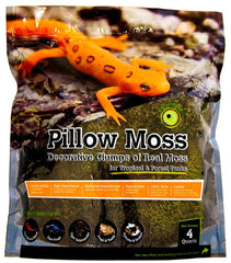 Galápagos Pillow Moss, Fresh Green, Header Bag