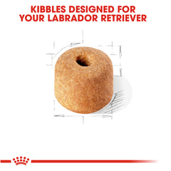 Royal Canin Labrador Retriever Adult Dry Dog Food
