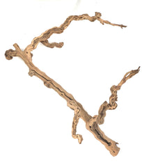 Sublime Vines : Sandblasted Grapevine Decor