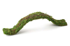 Galápagos Flexible Bridge Terrarium Ornament, Green