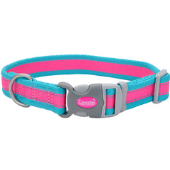 Coastal Pet - Pro - Reflective Adjustable Dog Collar, Fuscia with Teal