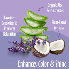 Earthbath Hot Spot Relief Pet Shampoo, Tea Tree Oil & Aloe Vera, 128oz – Soothes Hot Spots & Skin Conditions – Made in USA