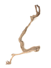 Sublime Vines : Sandblasted Grapevine Decor