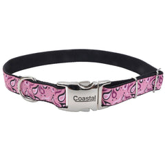 Coastal Pet - Ribbon - Adjustable Dog Collar with Metal Buckle, Pink Paisley