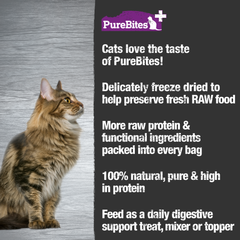 PureBites+ Freeze Dried Cat Treats | Gut & Digestion | 5 Ingredients | Made in USA
