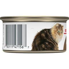 Royal Canin Feline Health Nutrition Aging 12+ Thin Slices In Gravy Canned Cat Food