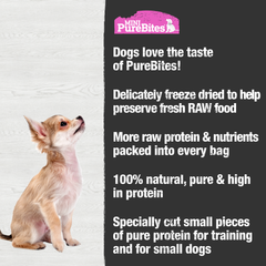 PureBites Mini Salmon Freeze Dried Dog Treats, 1 Ingredient, Made in USA