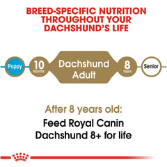 Royal Canin® Breed Health Nutrition® Dachshund Adult Dry Dog Food, 2.5 lb