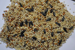 Volkman Seed Company Phoenix Wildbird Mixed Seed Food