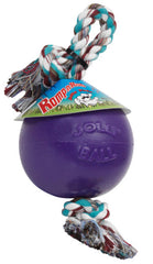 Jolly Pets Romp-N-Roll Ball Dog Toy Durable
