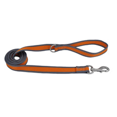 Coastal - Pro Reflective Dog Leash - 6 Foot Dog Leash with D-Ring - 3/4” x 6’