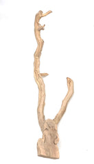 Sublime Vines : Sandblasted Grapevine Decor