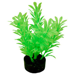 Blue Ribbon Pet Products Colorburst Florals Exotic Mini Plant
