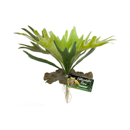 Zoo Med Naturalistic Flora® Staghorn Fern