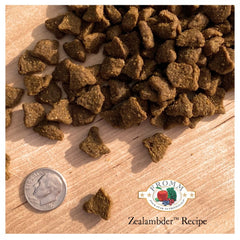 Fromm Four-Star Nutritionals Zealambder Dog Food - Premium Dry Dog Food - Lamb Recipe