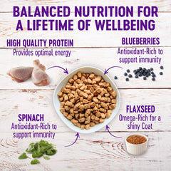 Wellness Complete Health Natural Dry Senior Dog Food, Chicken & Barley