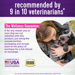 Wellness Salmon Flavored Soft Chew Immune & Allergy Supplements for Dogs
