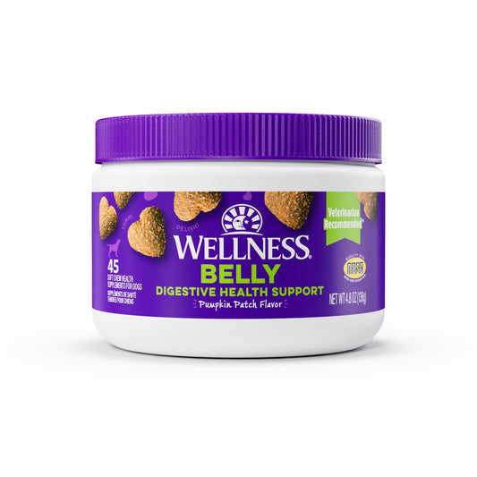 Wellness Pumpkin Patch Flavored Soft Chew Digestive Health Supplements for Dogs, 45 count