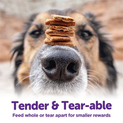 Wellness Rewarding Life Soft & Chewy Dog Treats, Grain Free, Beef & Turkey, 6 Ounce Bag