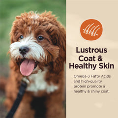 Wellness CORE Digestive Health Dry Dog Food with Wholesome Grains, Highly Digestible, for Dogs with Sensitive Stomachs, Made in USA with Real Protein (Whitefish & Brown Rice)