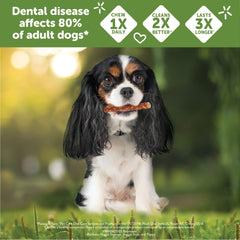Wellness WHIMZEES Veggie Sausage Dog Dental Treats, Natural Chews, Small Size Stick