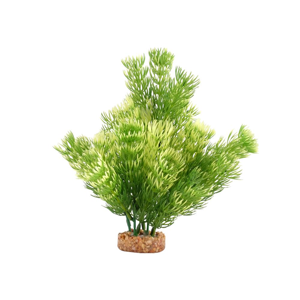 Fluval Green Cabomba 8"