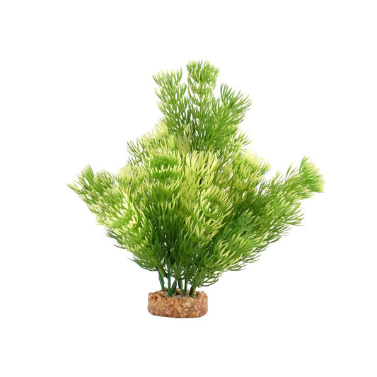 Fluval Green Cabomba 8"
