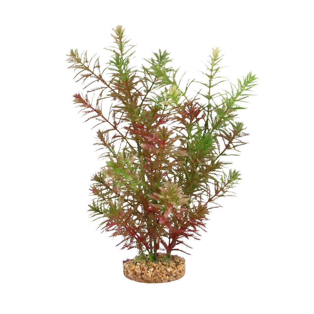 Fluval Green Myriophyllum