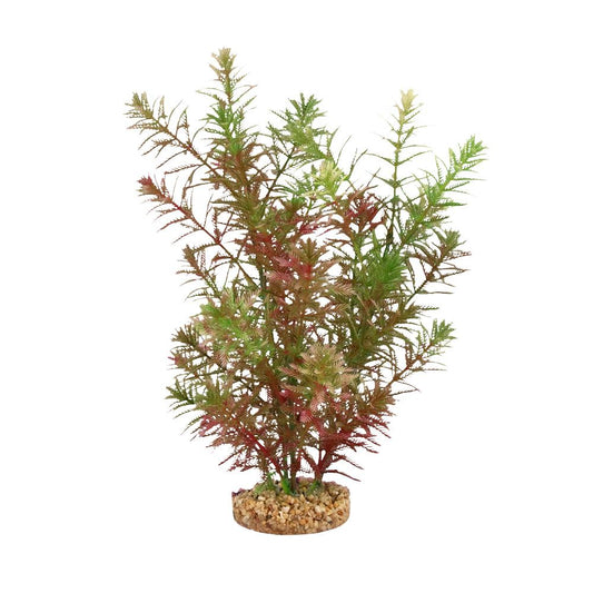 Fluval Green Myriophyllum