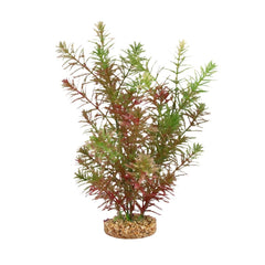 Fluval Green Myriophyllum