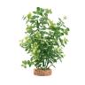 Fluval Aqualife Green Bacopa Plant, Plastic Aquarium Plant Decoration
