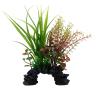Fluval Sagittarius/Rotala Decor 8"