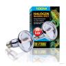 Exo Terra Sun Glo Halogen Basking Spot Lamp –  Reptile Light Bulb, Broad Spectrum Daylight, Enhances Coloration, Promotes Health