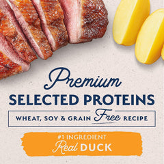 Natural Balance Limited Ingredient Adult Grain-Free Dry Dog Food, Reserve Duck & Potato Recipe, 22 Pound (Pack of 1)