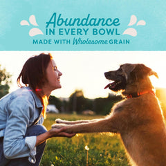 Natural Balance Original Ultra Adult Dry Dog Food with Superfood Blend and Healthy Grains, Chicken & Barley Recipe, 24 Pound (Pack of 1) Visit the Natural Balance Store