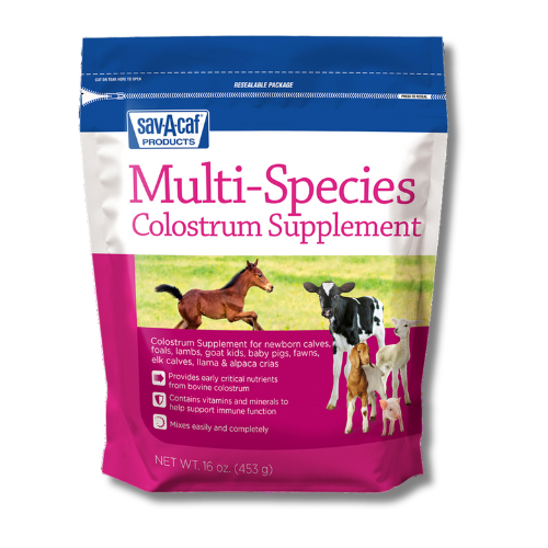 Sav-A-Caf® Multi-Species Colostrum Supplement (16 oz.)