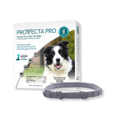 Provecta® Pro Flea & Tick Collar for Dogs