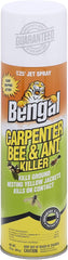 Bengal® Carpenter Bee &amp; Ant Killer 16 oz