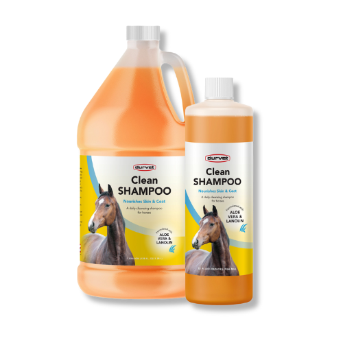 Clean Equine Shampoo