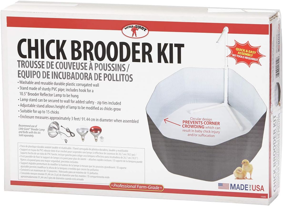 Little Giant® Chick Brooder Kit – Safe, Adjustable, and Easy-to-Use