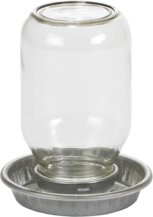 Little Giant® Mason Jar Baby Chick Waterer – Durable, Gravity-Fed, and Chick-Safe 1 qt