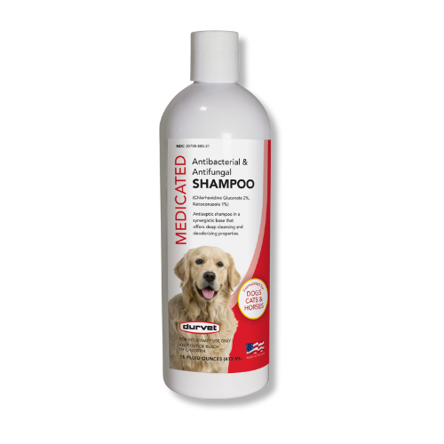 Medicated Antibacterial & Antifungal 16oz Shampoo – For Dogs, Cats & Horses