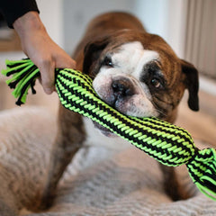 Jolly Pets® Knot-N-Chew Tube Squeaker