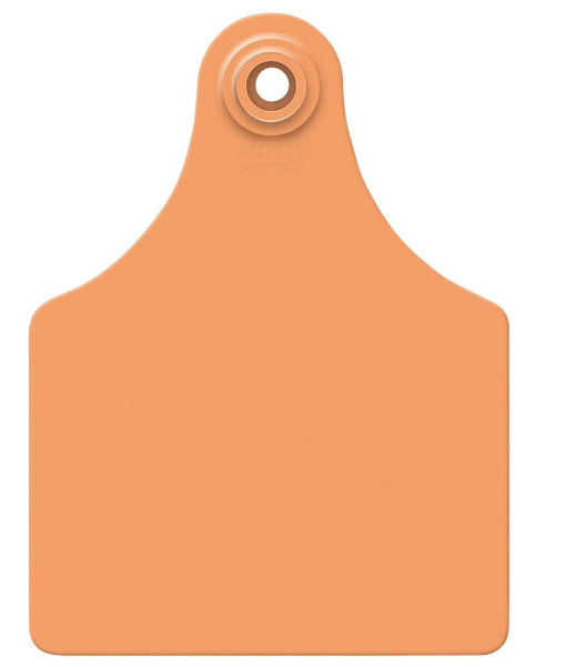 Allflex® Large Ear Tags (25 Count) – Orange