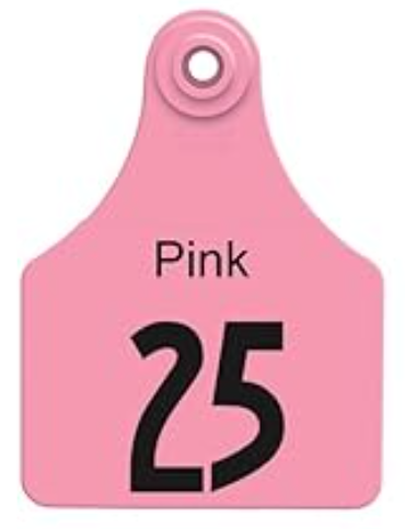 Allflex® Large Ear Tags (25 Count) – Pink