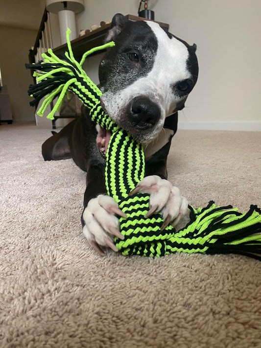 Jolly Pets® Knot-N-Chew (2 Knot) – Dog Toy